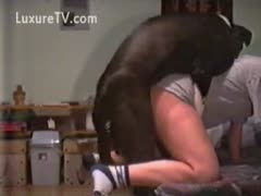 Big concupiscent doggy dominates a lady